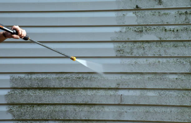 Best Patio and Deck Pressure Washing  in West Branch, IA