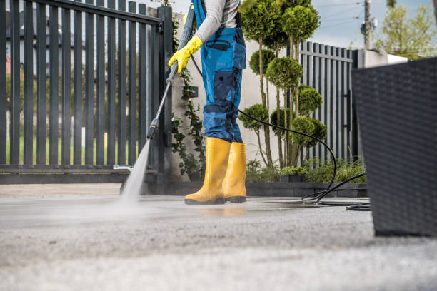 Pre-Holiday Cleaning in West Branch, IA